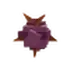 Venus Fly Trap